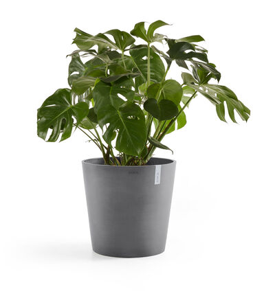 Ecopots Amsterdam grå 50 cm Ecopots Amsterdam grå 50 cm
